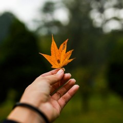 Dáng Em