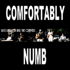 COMFORTABLY NUMB EMERSON PARK 7/7/2010 (PAUL MORONEY) POGIE REMASTER