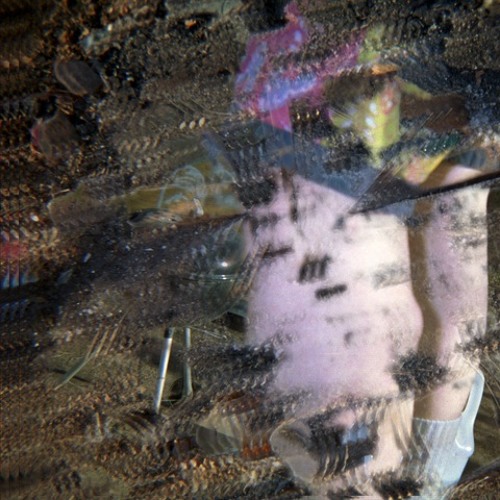 fly