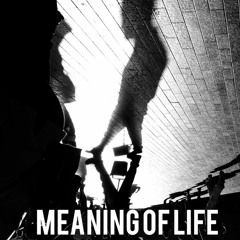 Meaning Of Life (Produced by Whodiniz)