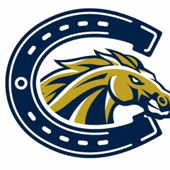 Rock Man(aka Mega Man)