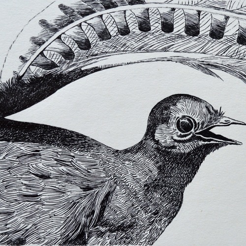 PREMIERE : Enui - Babel (Original Mix)[Camphor Laurel]