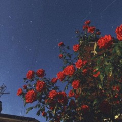 5 Dröm - Att Bygga Sandslott