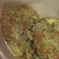 Coaster (watch the drip)💧💎 prod. By Spookjamie🔥🔥