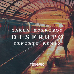 Carla Morrison - Disfruto (TENORIO Remix)