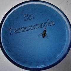 2018 - Descendente (Sr. Termocupla)