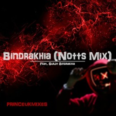 Bindrakhia (Notts Mix) - PrinceUKMusic