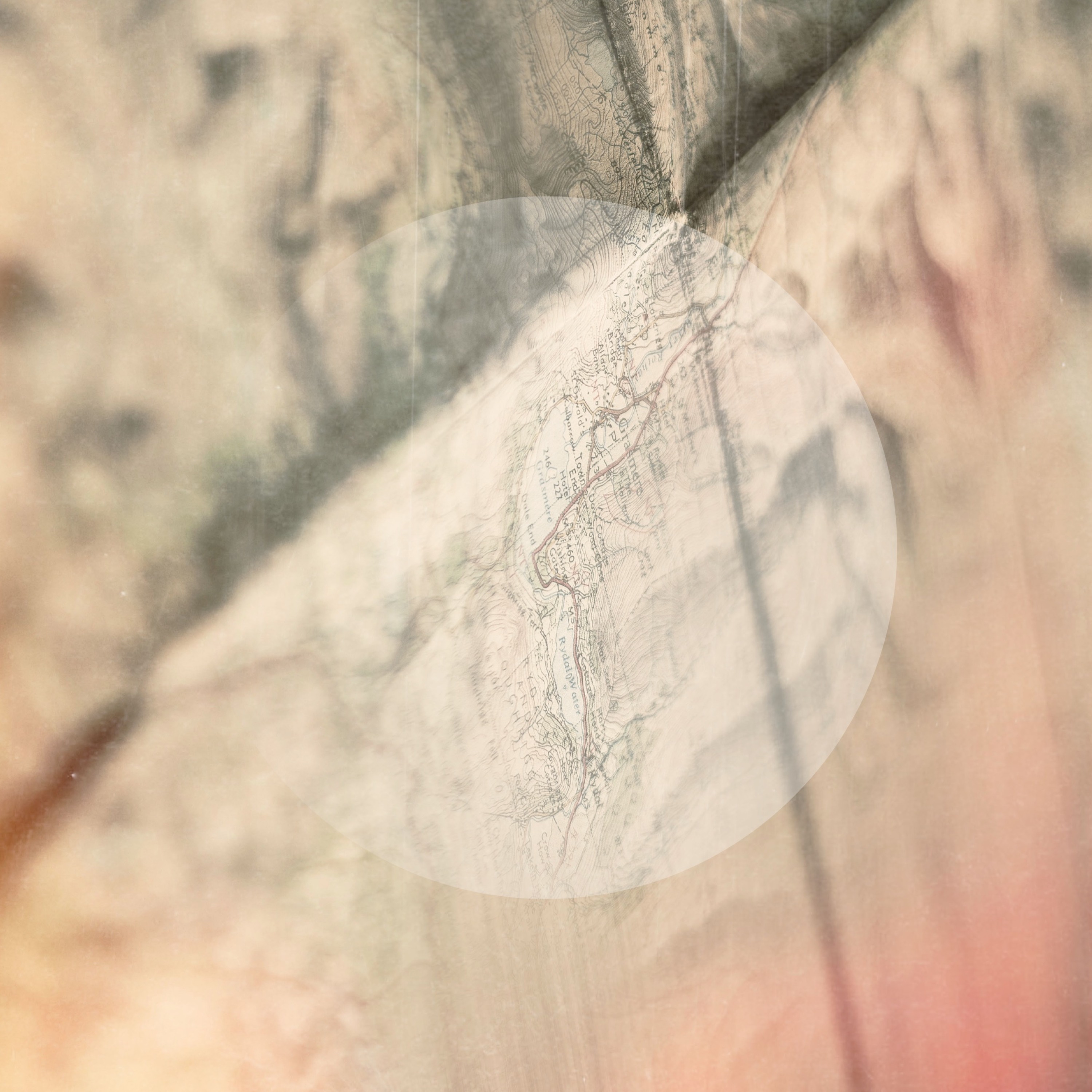 Antonymes - The Womb Of The Great Mother (Tape Loop Orchestra Remix) episode artwork