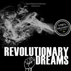 Revolutionary Dreams (2014)