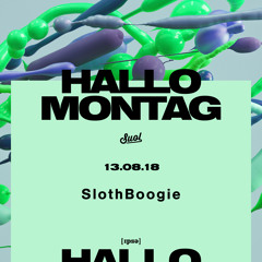 SlothBoogie @Hallo Montag Open Air #16 (13.08.2018)