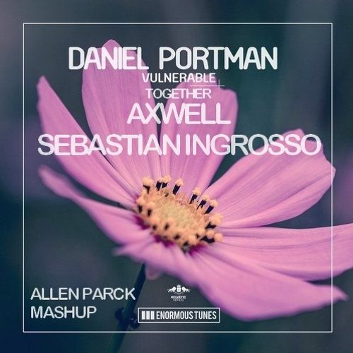 🌸 Daniel Portman Vs. Axwell & Sebastian Ingrosso - Together & Vulnerable (Allen Parck Mashup) 🦋