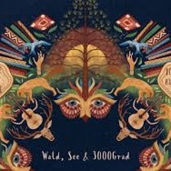 3000° Festival 2018 Utopia Saturday afternoon
