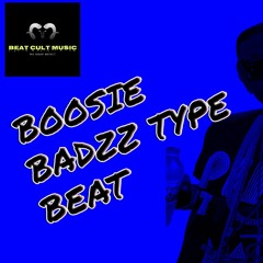 Lil Boosie MouseOnThe Track Trill Type Beat