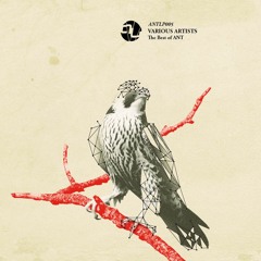 Pablo Say - Harmonic Chimes