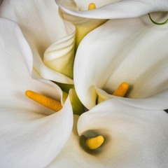 5 O