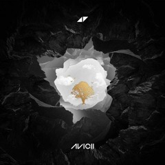 Avicii  Without (Instrumental)