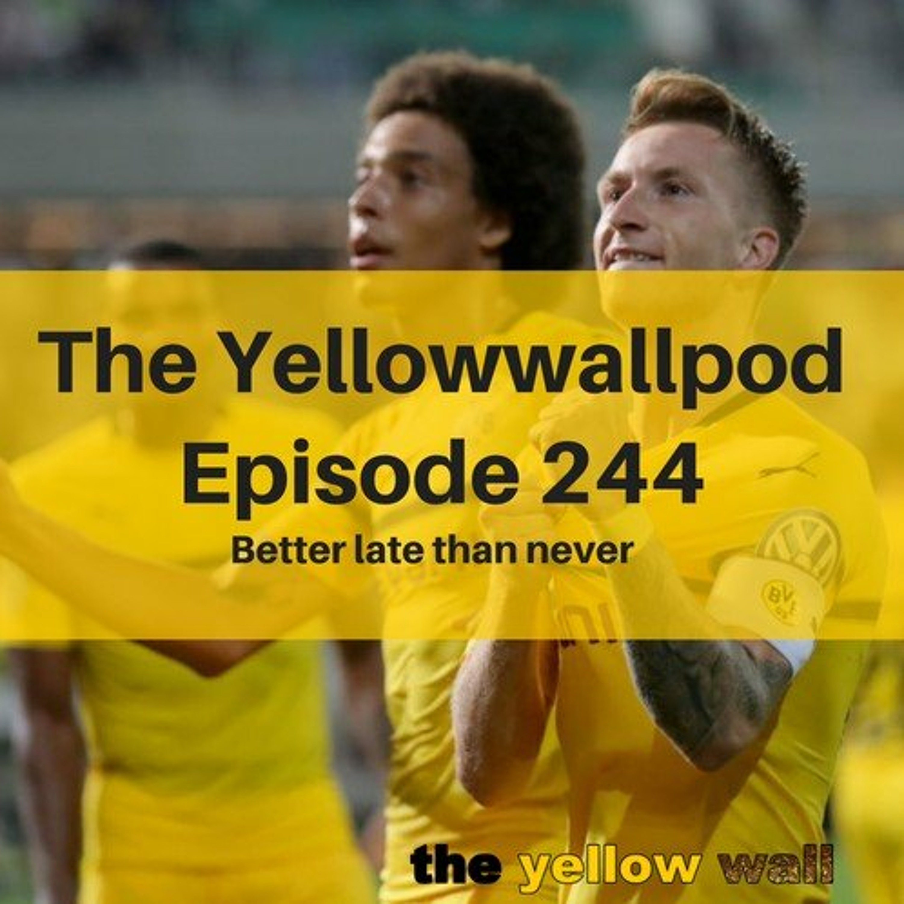 Yellowwallpod