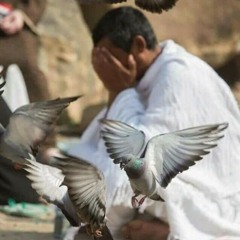 من سورة الكهف💙 ~ للقارئ محمد عبد الهادي توري