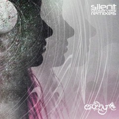 Silent Orbservers (Erothyme Remix)