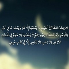 وَعِندَهُ مَفَاتِحُ الْغَيْبِ لَا يَعْلَمُهَا إِلَّا هُوَ (محمود الشحات)