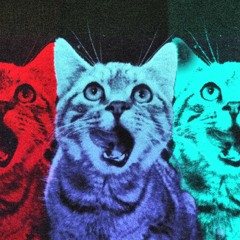 LITTERBOX VOL. I