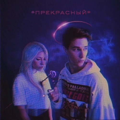 Прекрасный