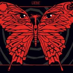 Klangtherapie Festival 2018 - Sandpalast 04.08.2018 - b2b w/floreano