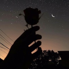 if the stars could talk