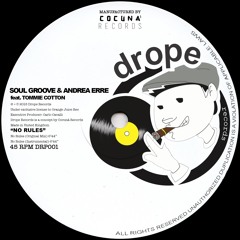 Soul Groove & Andrea Erre Feat. Tommie Cotton - No Rules (Original Mix)