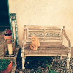 My Little Red Hairy Friend
