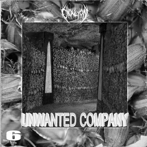 UNWANTED COMPANY