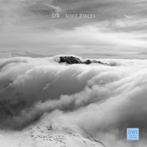 DR - Snippets Of Soft Pieces (DWI 09)