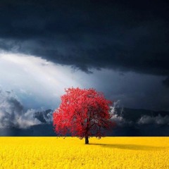 HomeGrown (Prod. King Kunta)