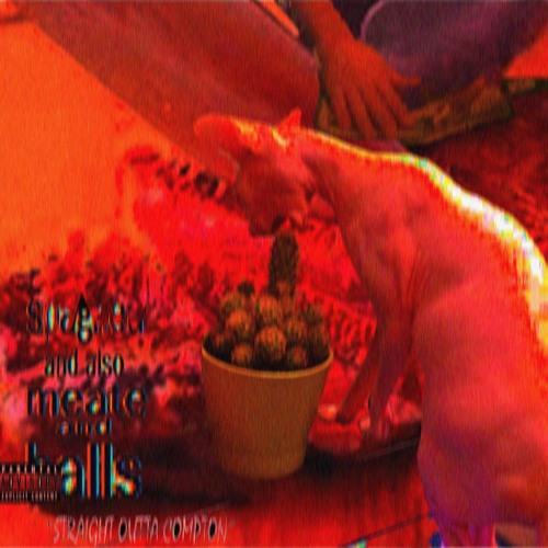 WOGI - SPAGHETTIE AND ALSO MEAT AND BALLS