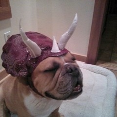 Myth Michaels - Push It