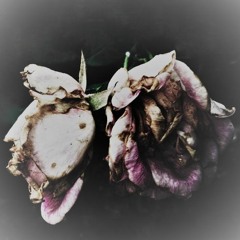 Death Blooms (Mudvayne Cover)