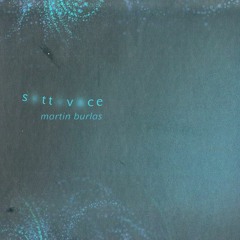 Martin  Burlas - Coda