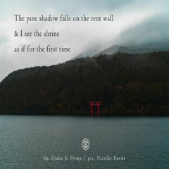 The Pine Shadow Falls On The Tent Wall & I See The Shrine (Naviarhaiku 242)