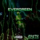 on 6PATH - EVERGREEN (Prod. RonSupreme)