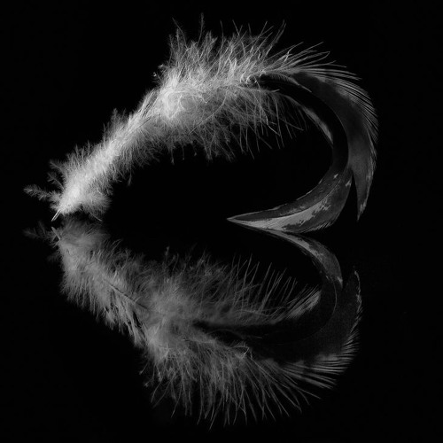 Stream Dislove by JAZEX | Listen online for free on SoundCloud 