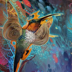 Rooster Live @ The Boiler Room 8.24.18