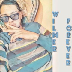 WILMER FOREVER - by Jvs