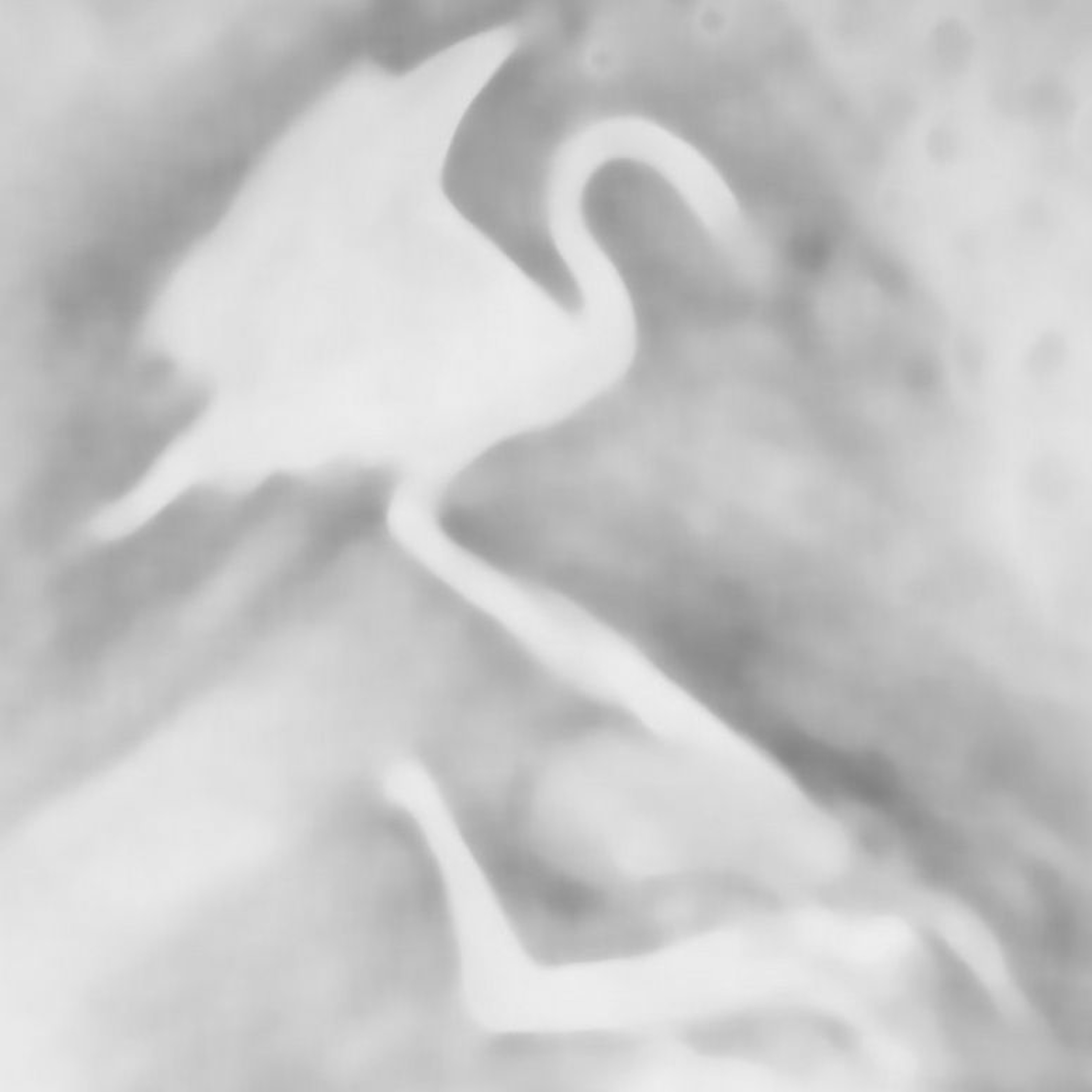 Cygnus episode artwork