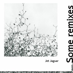 Jet Jaguar - Some Remixes (snippets)