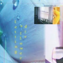 Letting A Flower Die