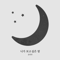 윤딴딴 - 니가 보고싶은 밤