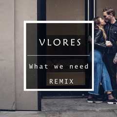 Hardwell feat. Haris - What We Need (Vlores Remix)