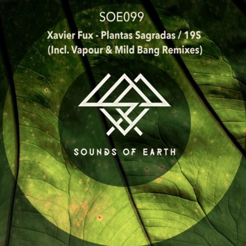 2. Xavier Fux - 19S (Original)