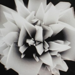 cerated