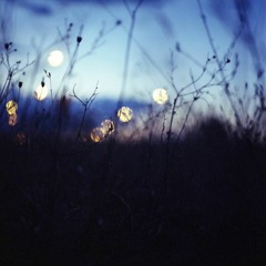Tặng em, (original demo.)